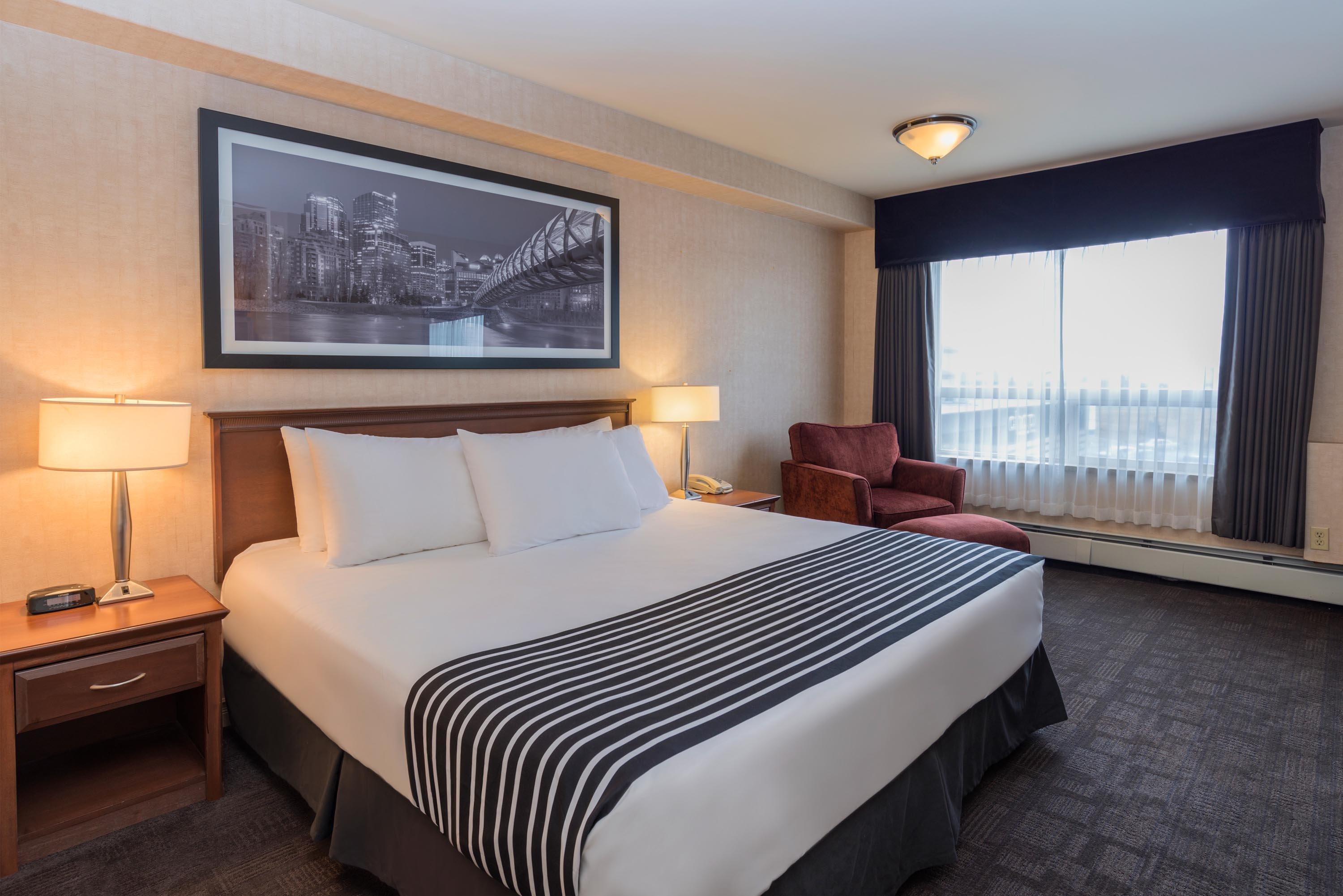 Standard King Room