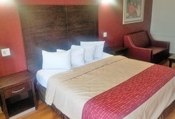  - Red Roof Inn & Suites Hobby Airport Houston - I-45, Exit 35