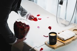  - St Regis Hotel Downtown Toronto