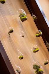  - Westin Hotel Huntsville - I-565, Exit 14