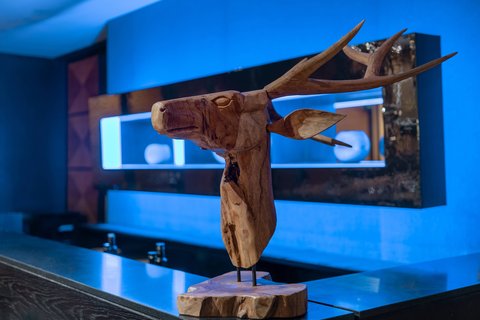 AC BY MARRIOTT BAQUEIRA SKI - Photo 61