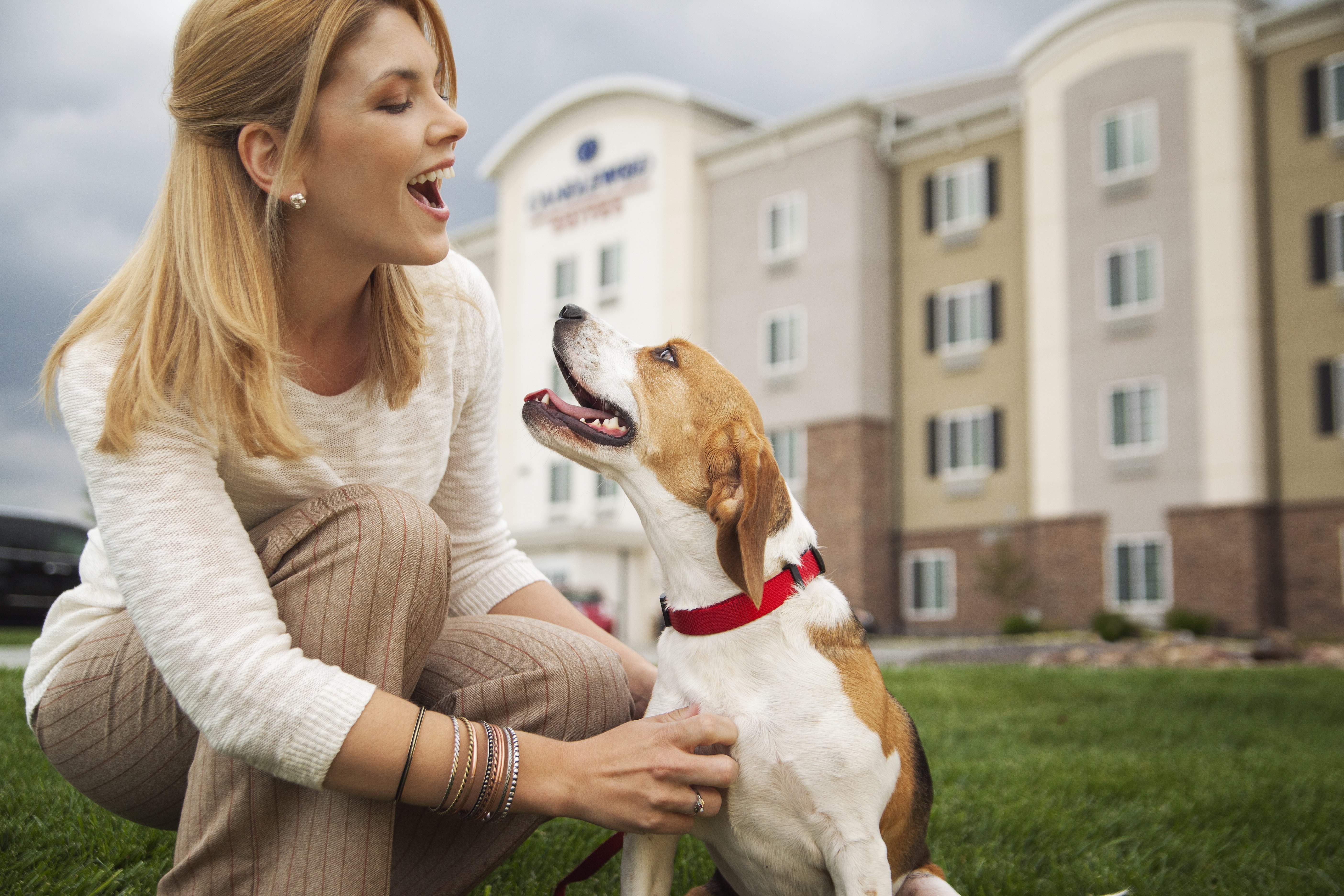 CANDLEWOOD STES GRAND PRAIRIE BY IH-guestroom-Pet friendly with dog walking area.jpg
