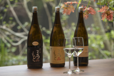 SOWAKA - Photo 46