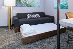  - SpringHill Suites by Marriott Wixom - I-96, Exit 159