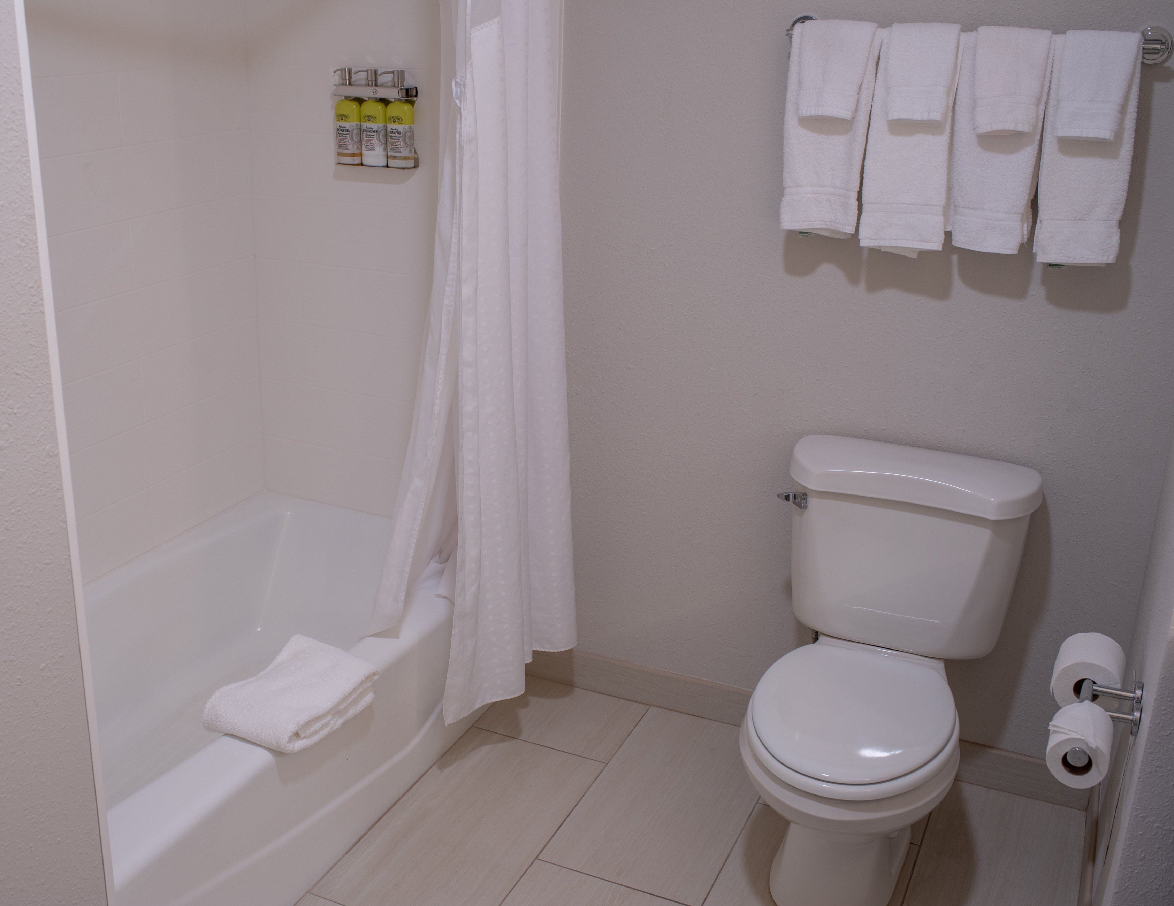 HOLIDAY INN EXP STES CONOVER BY IHG-guestroom-Bathroom.jpg