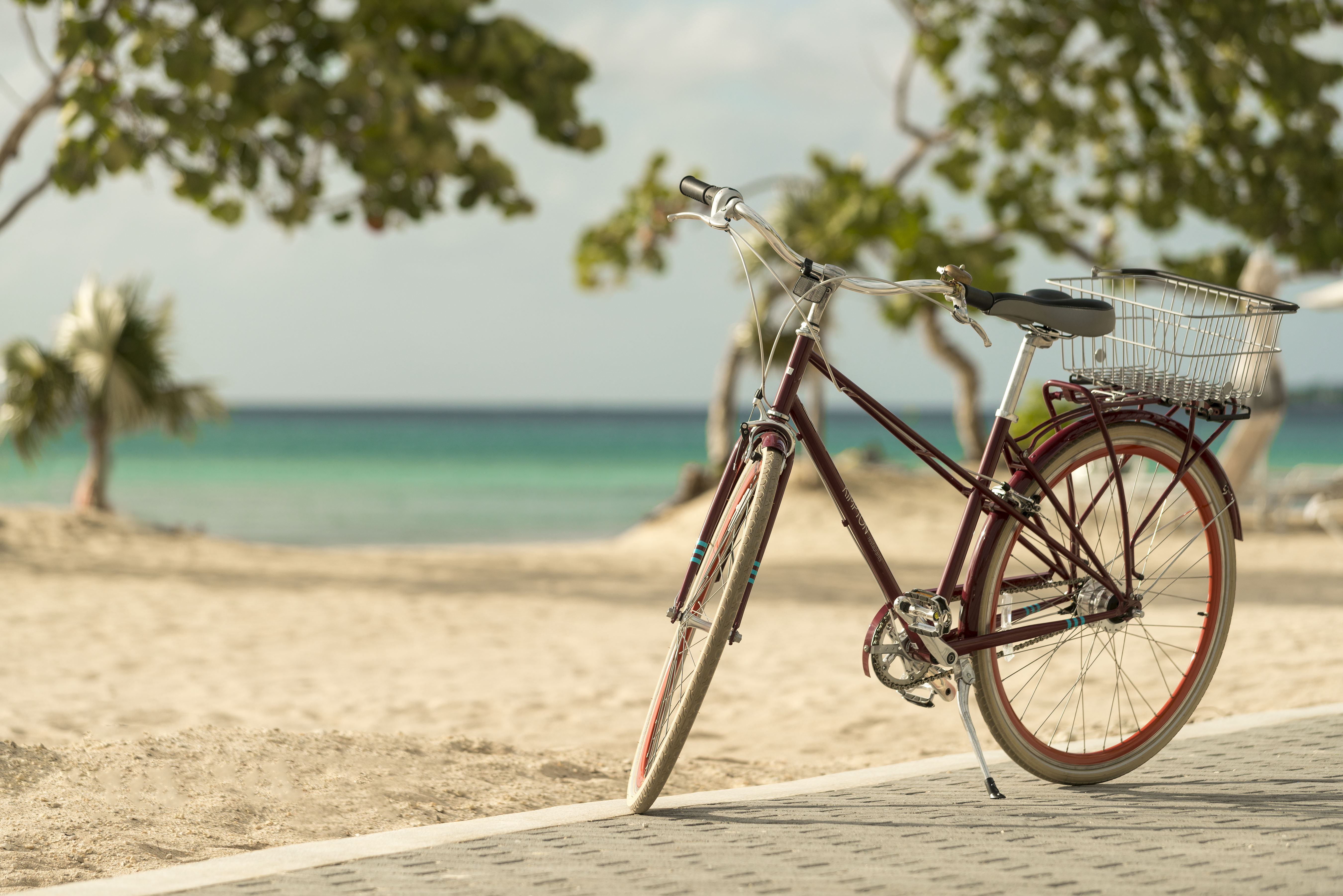Complimentary Loaner Bikes