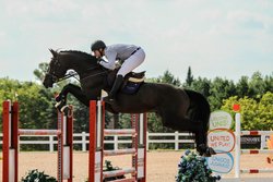  - Holiday Inn Express & Suites Whiskey Road Aiken