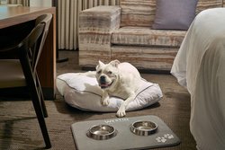  - Westin Hotel Charlotte