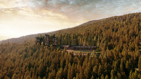 FORESTIS - Photo 2