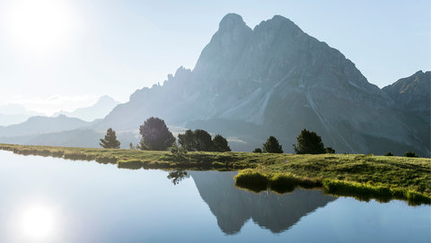 FORESTIS - Photo 50