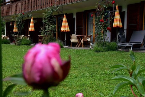 HOTEL CABANA - Photo 26