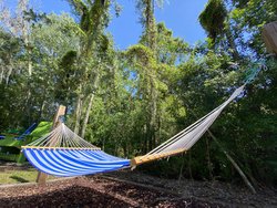  - Holiday Inn Express & Suites Plant City - I-4, Exit 22