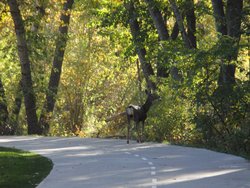  - Holiday Inn Express & Suites Airport Boise - I-84, Exit 53