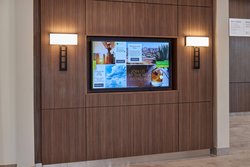  - Courtyard by Marriott Downtown El Paso - I-10, Exit 19