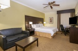  - Holiday Inn Express & Suites North Houston - I-45, Exit 63