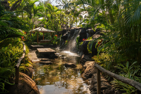 FOUR SEASONS RESORT HUALALAI - Photo 10