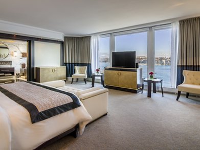 FAIRMONT GRAND HOTEL GENEVA - Photo 379