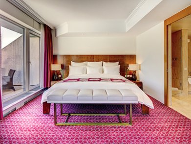 FAIRMONT GRAND HOTEL GENEVA - Photo 523