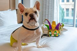  - Residence Inn by Marriott Central Business District New Orleans