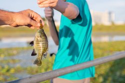  - SpringHill Suites by Marriott Cedar Park