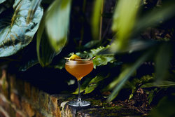  - Kimpton Hotel Fontenot Downtown New Orleans