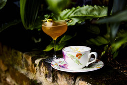  - Kimpton Hotel Fontenot Downtown New Orleans