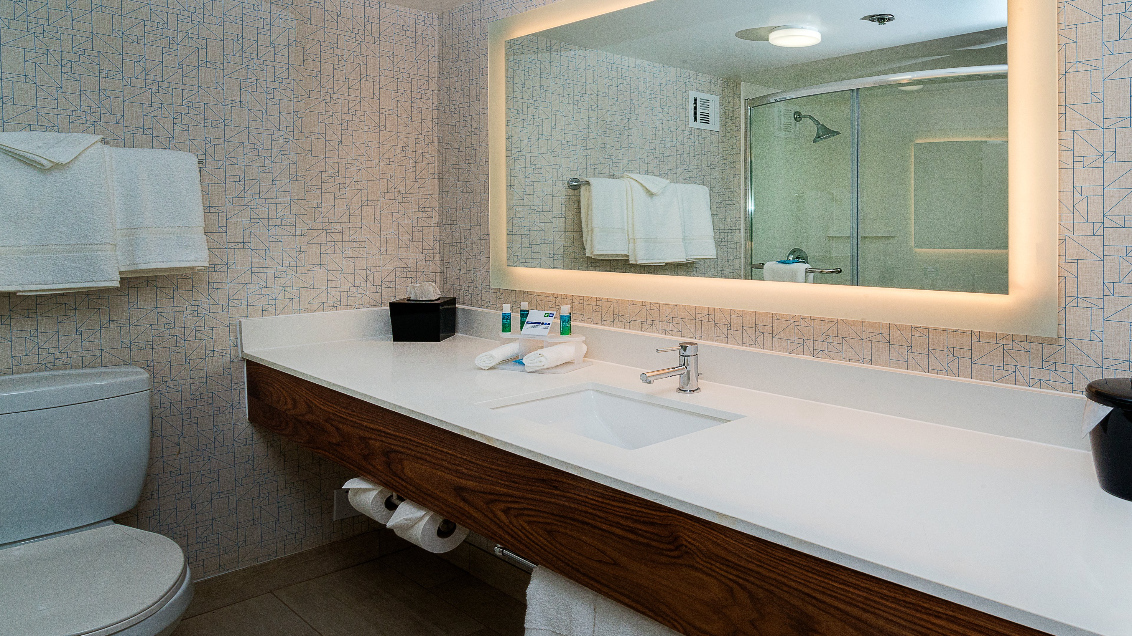 HOLIDAY INN EXP FULLERTON ANAHE BY-guestroom-Guest Bathroom .jpg