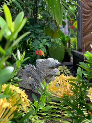  - Sand Castle on the Beach Resort Frederiksted St Croix