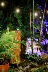  - Sand Castle on the Beach Resort Frederiksted St Croix