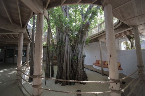 SONEVA FUSHI - Photo 46