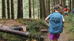  - Holiday Inn Club Vacations Apple Mountain Resort Clarkesville