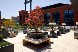  - Live! Hotel by Loews Ballpark Village St Louis - I-64, Exits 39B & 40A