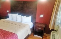  - Red Roof Inn & Suites Hobby Airport Houston - I-45, Exit 35