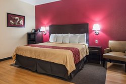  - Red Roof Inn & Suites Lake Orion