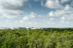  - JW Marriott Hotel Orlando