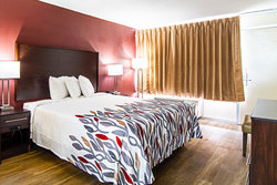  - Red Roof Inn Airport Columbia - I-26, Exit 113