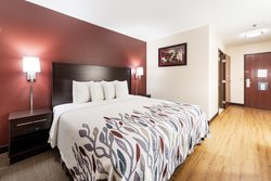  - Red Roof Inn Auburn - I-69, Exit 329