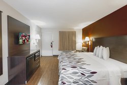  - Red Roof Inn Walterboro - I-95, Exit 53