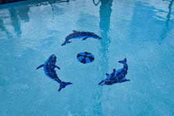  - Red Roof Inn & Suites Tillmans Corner - I-10, Exit 15