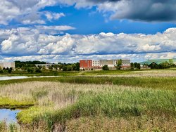  - Holiday Inn Express & Suites Hoffman Estates