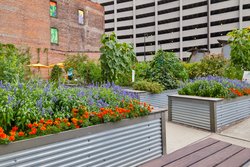  - Hotel Indigo Detroit Downtown