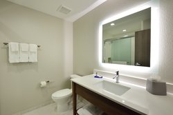  - Holiday Inn Express & Suites Woodlands Area Spring