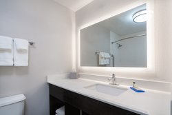  - Holiday Inn Express & Suites Balloon Park - I-25, Exit 233