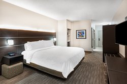  - Holiday Inn Express & Suites Balloon Park - I-25, Exit 233