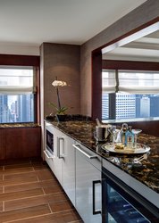  - Lotte New York Palace Hotel