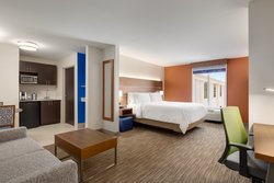  - Holiday Inn Express & Suites University Area Auburn - I-85, Exit 51