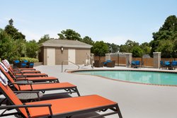  - Holiday Inn Express & Suites University Area Auburn - I-85, Exit 51