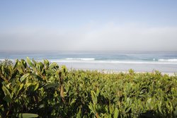  - Le Petit Pali at Ocean Avenue Hotel Carmel