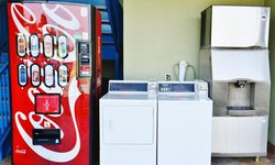  - Scottish Inns & Suites Alvin