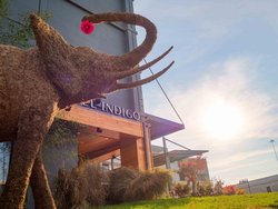  - Hotel Indigo Downtown Chattanooga